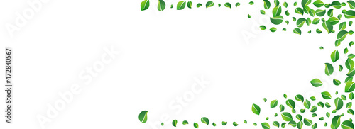 Maroon Color Confetti Vector Panoramic White