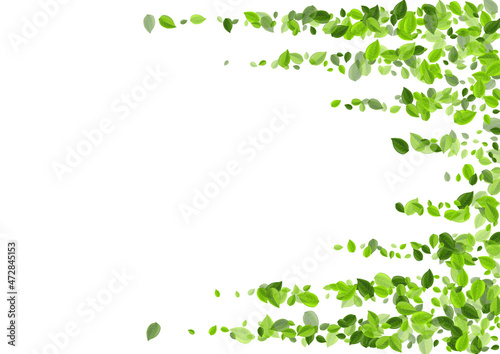 Olive Greens Realistic Vector Brochure. Organic