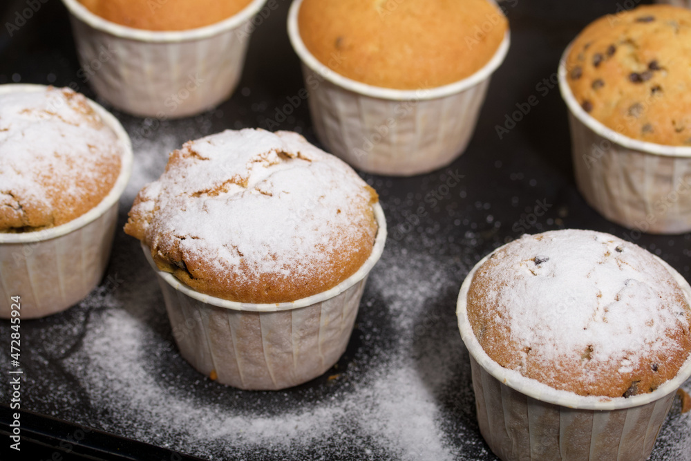 Freshly baked muffins with chocolate and raisins. Spread out on a baking sheet. Some are sprinkled with powdered sugar. Close-up shot.