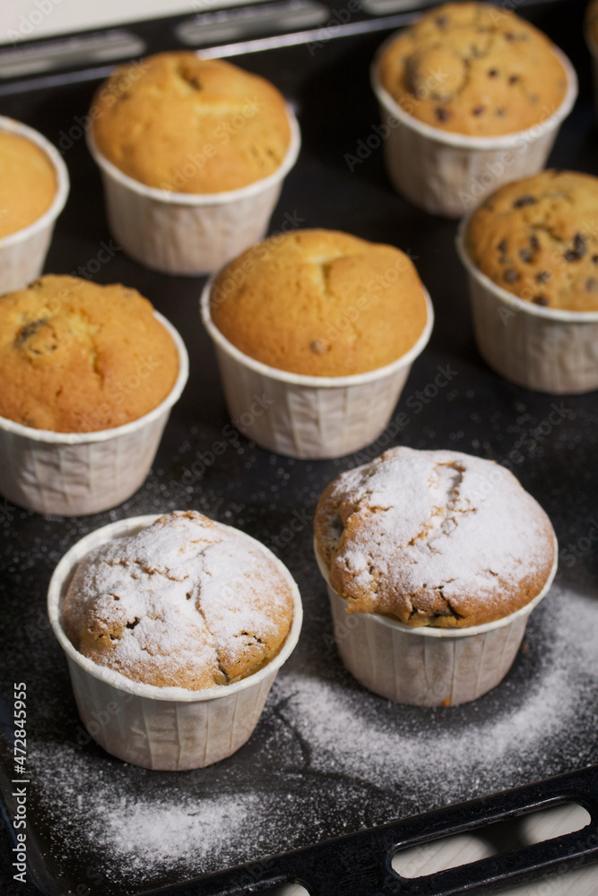 Freshly baked muffins with chocolate and raisins. Spread out on a baking sheet. Some are sprinkled with powdered sugar. Close-up shot.