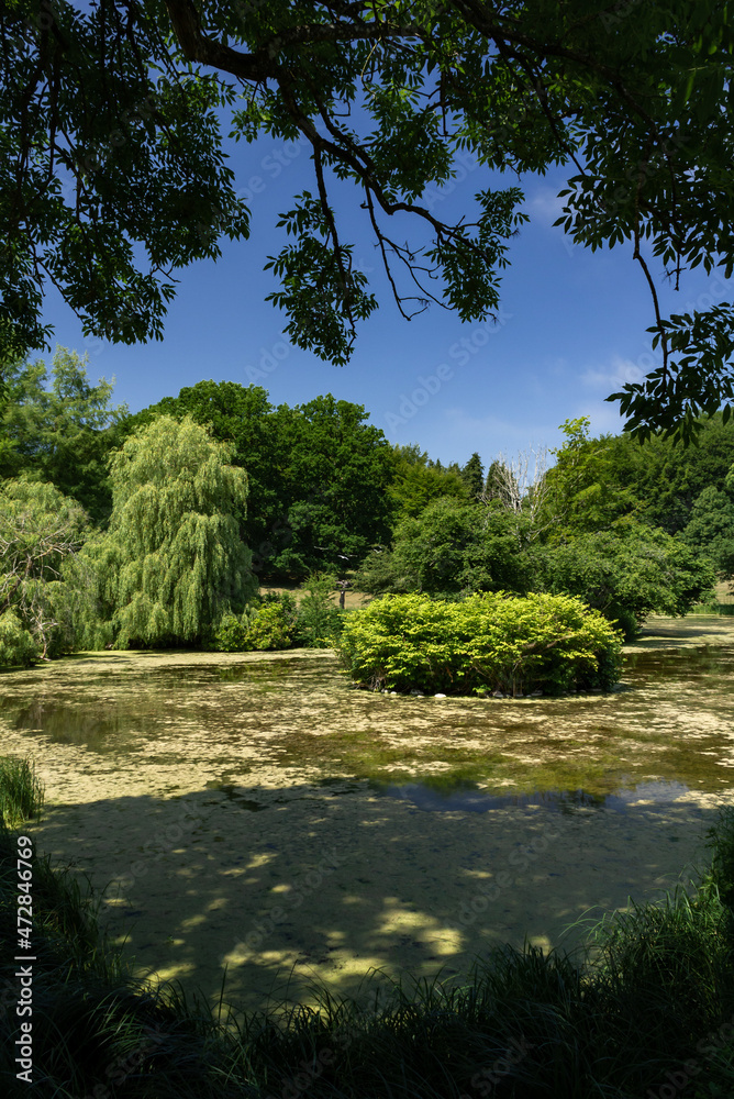 Denmark stock photo with clear skies, greenery and nature