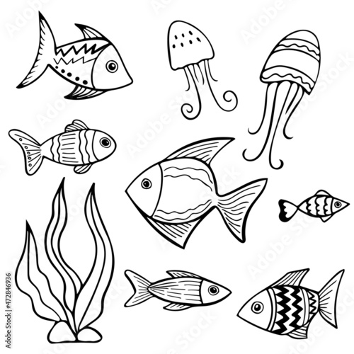 Set of black and white fishes in doodle ink style. Hand drawn illustration
