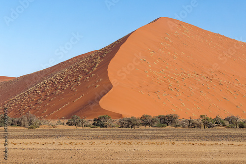 Düne im Namib Naukluft, Nationalpark