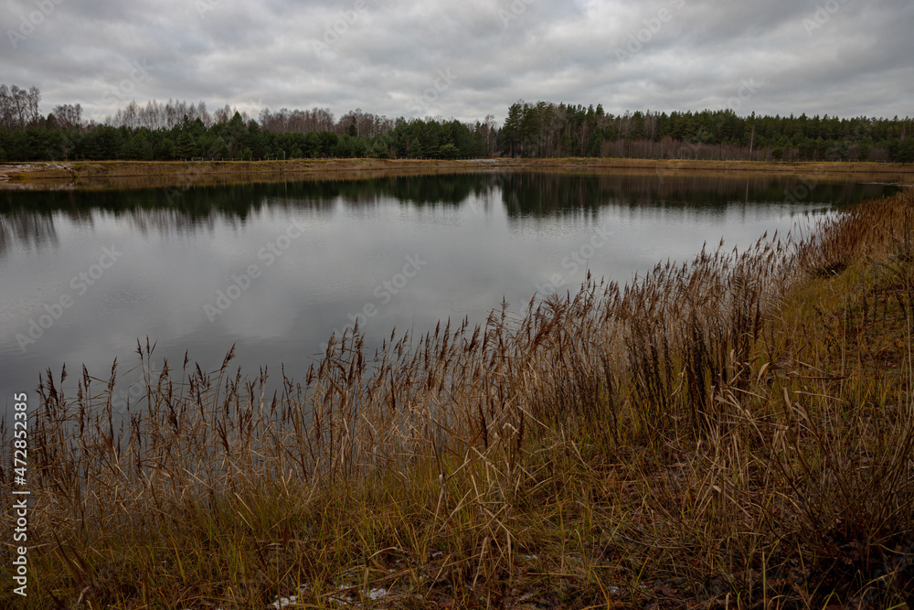 calm beautiful pond or lake near pine forest in Latvia, Garoza