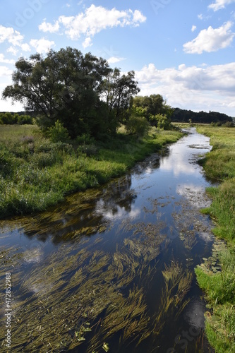 rzeka Supraśl, woda, nurt, płynie, 