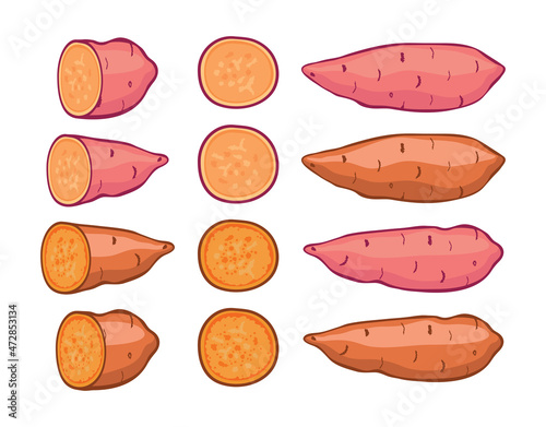 vector sweet potatoes set
