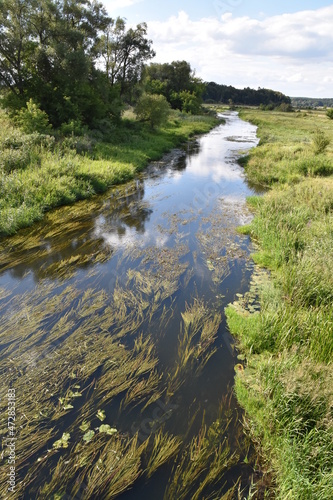 rzeka Supraśl, woda, nurt, płynie, 