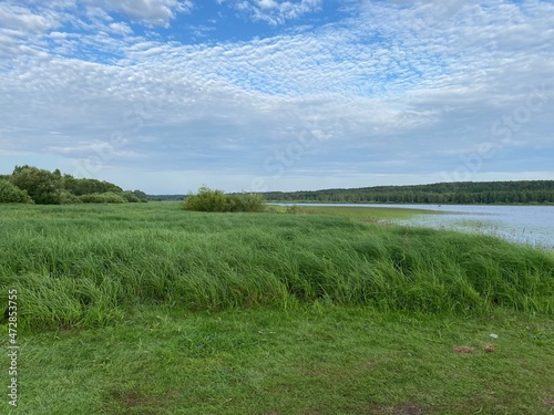 landscape with lake