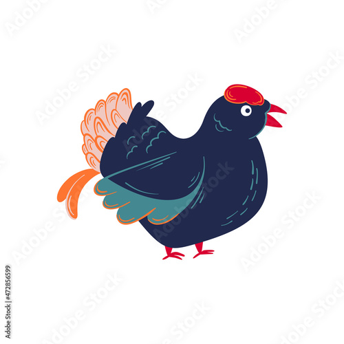 black grouse or blackcock wild bird vector isolated illustration. lekking black grouse from christmas birds