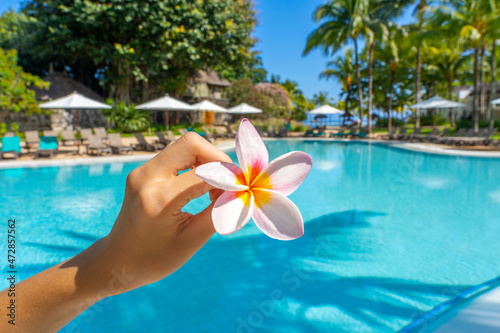 Children s hand holding a frangipani flower on the swimming pool blurred background. Tropical paradise island holidays on the hotel. Luxury resort with swim pool.