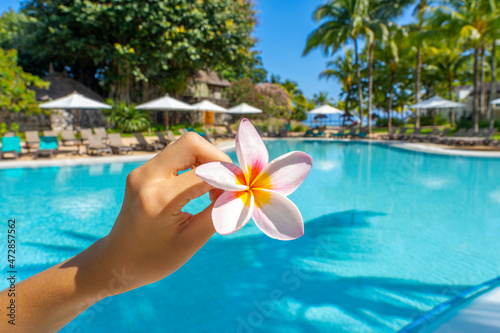 Children's hand holding a frangipani flower on the swimming pool blurred background. Tropical paradise island holidays on the hotel. Luxury resort with swim pool. photo