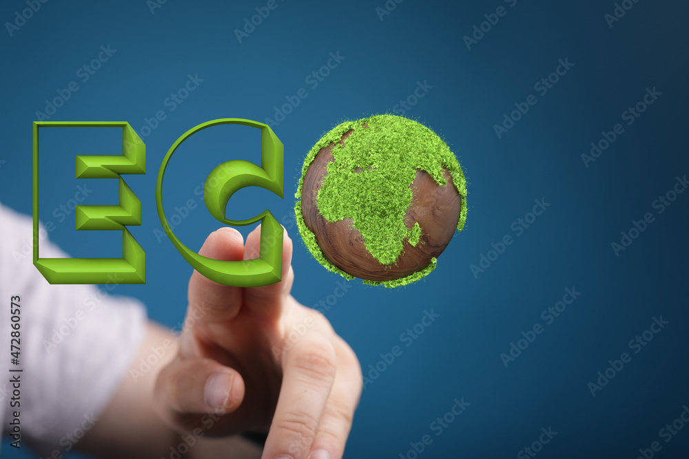 ECOLOGY word made with green grass, white background ECOLOGY word made with green grass, white background