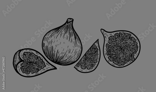 Vector illustration, cutaway figs, organic fruit, vegetarian food.