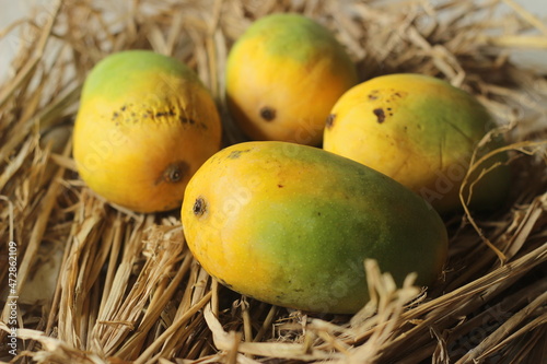The Gir Kesar mango, also called Kesar, is a mango cultivar grown in the foothills of Girnar in Gujarat, western India. It is known for its bright orange coloured pulp. photo