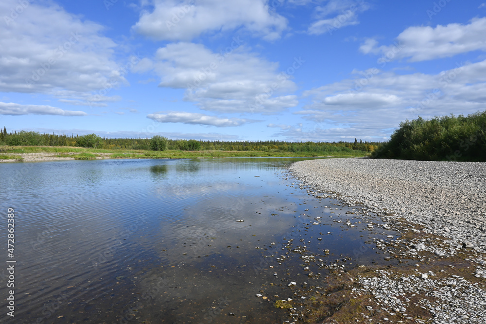 Summer river landscape. Summer river landscape.