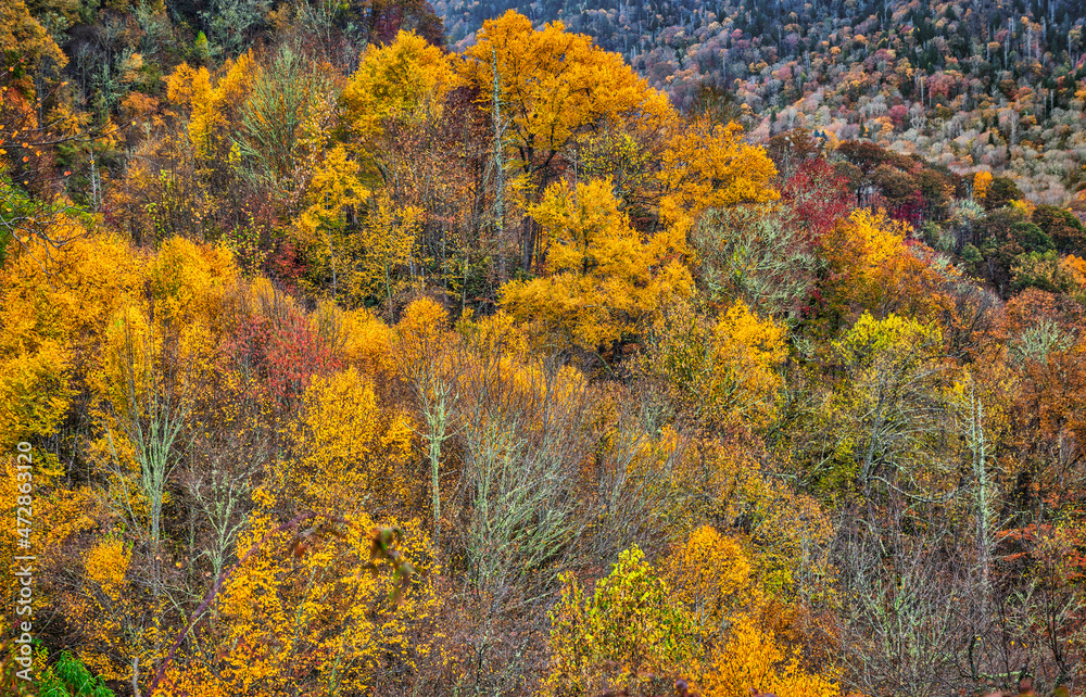 Great Smokey Mountains, Tennessee