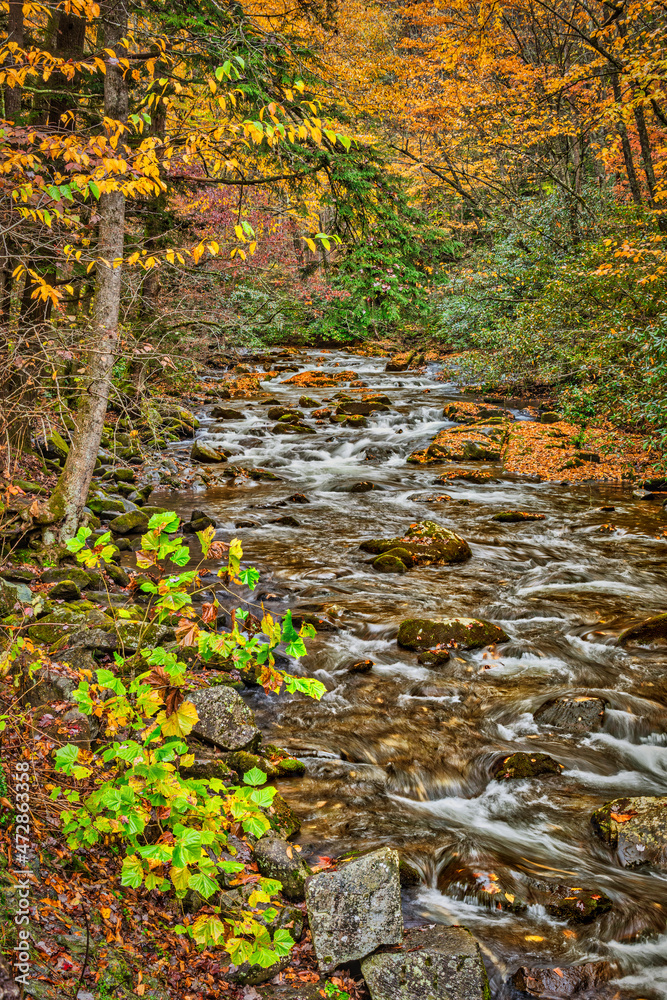 Great Smokey Mountains, Tennessee Great Smokey Mountains, Tennessee