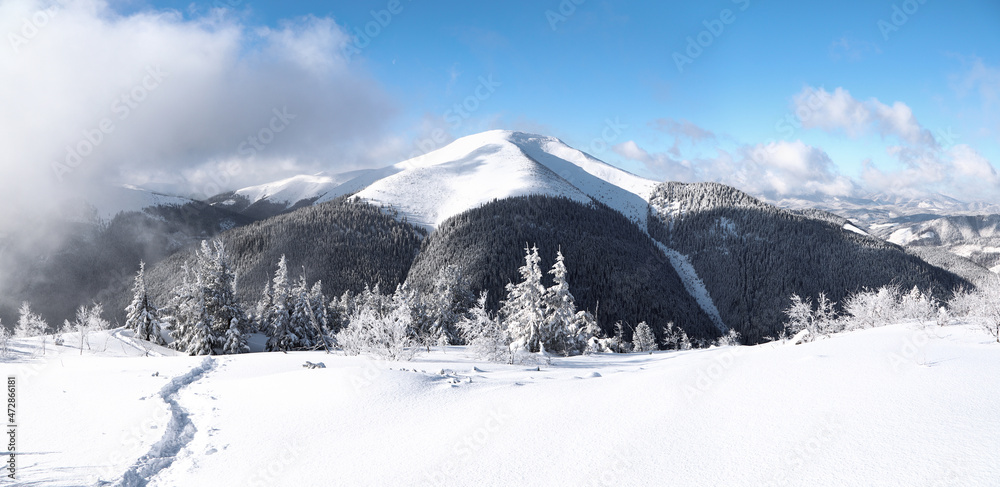Landscape on winter day. Forest. Lawn covered with snow. A panoramic view of high mountain with snow white peak. Evergreen trees in the snowdrifts. Christmas wonderland. Snowy wallpaper background.