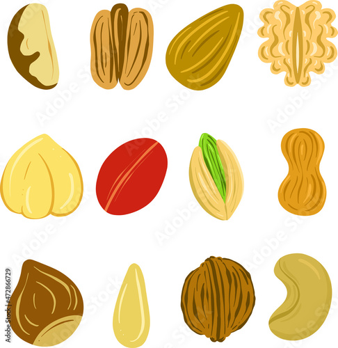 Collection of Nuts and Seeds Design Illustration To Include Cashew Brazil Walnut Peanut etc