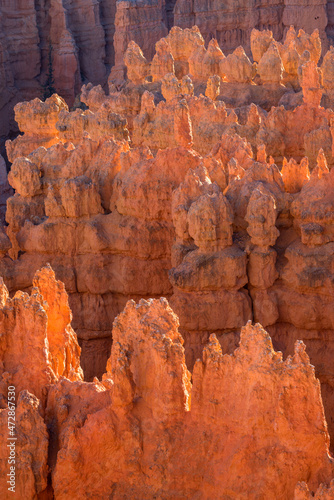 USA, Utah. Bryce Canyon National Park, evening light brightens hoodoos in the Silent City, from Sunset Point.