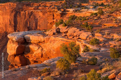 USA, Utah. Canyonlands National Park, sunset light warms sandstone rim at Grand View Point, Island in the Sky District.