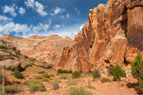 USA, Utah. Capitol Reef National Park, Walls of Wingate and Navajo Sandstone rise above floor of Grand Wash.