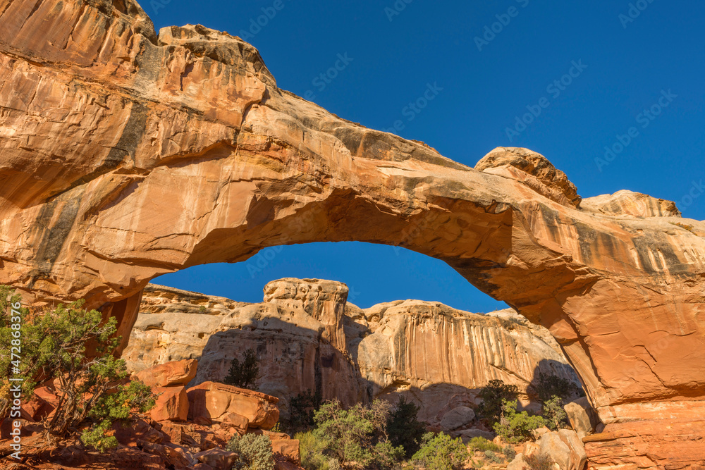 Capitol reef national top park hickman bridge
