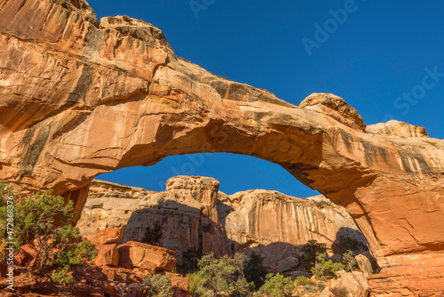 USA, Utah. Capitol Reef National Park, Hickman Bridge in early morning, this natural bridge measures 133 feet in length. photo