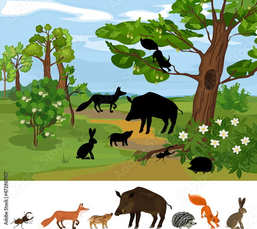 Find the right shade. Educational children matching game with animals living in grove and park. Ecosystem of forest. Diverse inhabitants of grove