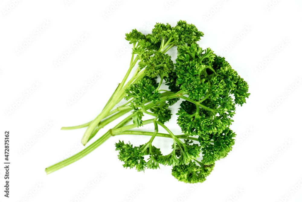 parsley isolated on white on top view parsley isolated on white on top view