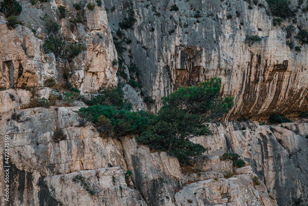close up on the rock of the calanque of Marseille
