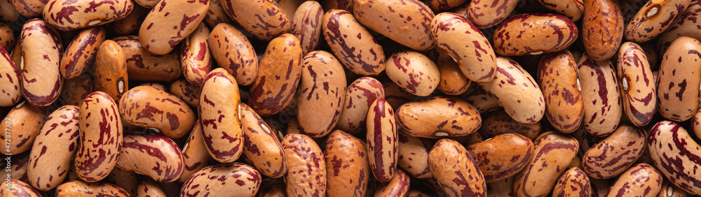 Pinto spotted bean closeup banner panoramic Pinto spotted bean closeup banner panoramic