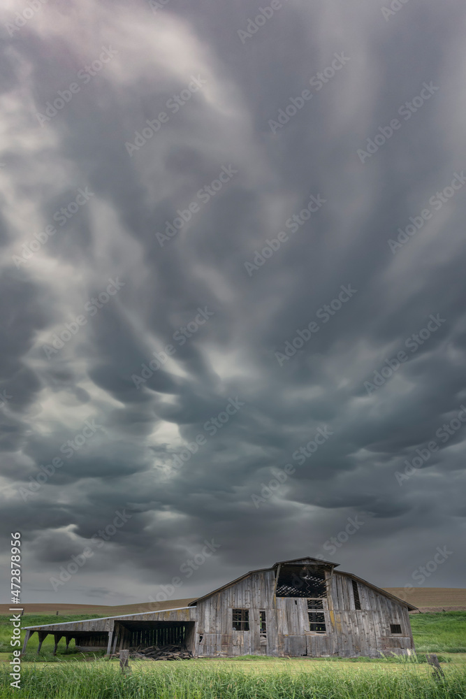 Dark, storm clouds above old barn, Palouse region of eastern Washington.