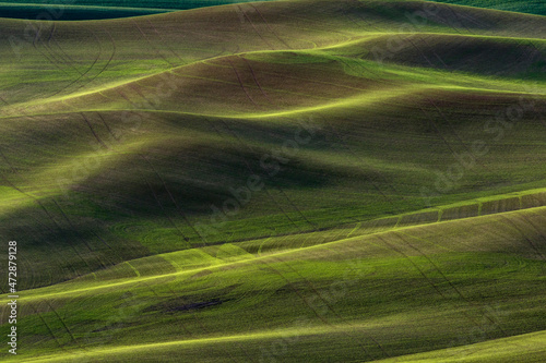 Expansive sunrise view of endless rolling hills of crops in the Palouse, from elevated position, Steptoe Butte State Park, Washington State