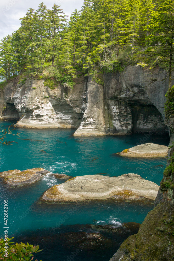 Naklejka premium Makah Indian Reservation near Neah Bay, Washington, USA. View of Pacific Ocean from Cape Flattery trail.