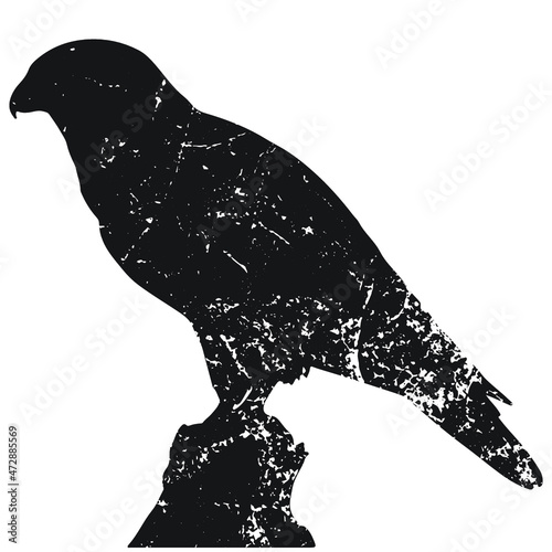 Falcon silhouette grunge texture