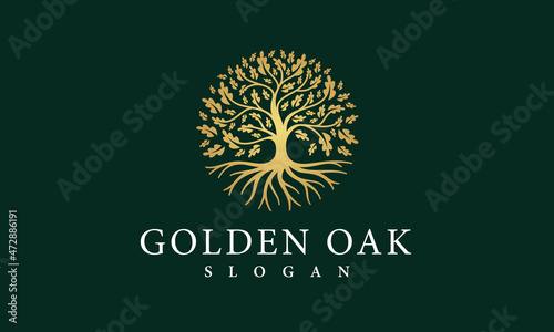 Natural Golden Oak Tree Logo Vector Nature Roots Growth Logo Design Template