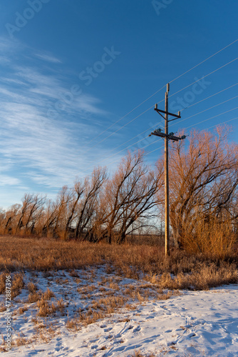 Telephone pole and wire cables in rural North Dakota surrounded by snow and brown vegetation. Winter day with blue sky and no one around. Industry, electricity, power pole.