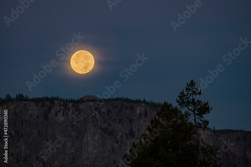 Full moon rising, Yellowstone National Park, Wyoming