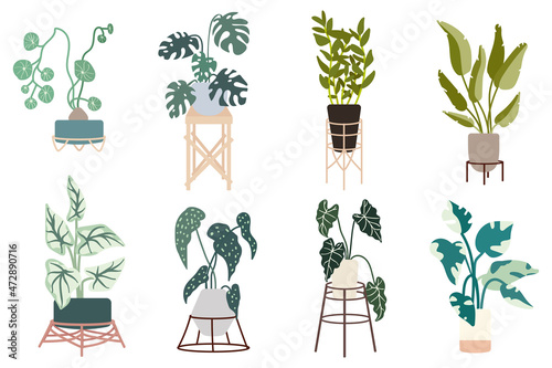 
Set of green indoor plants in flowerpots on wooden stands.Flat vector graphics.