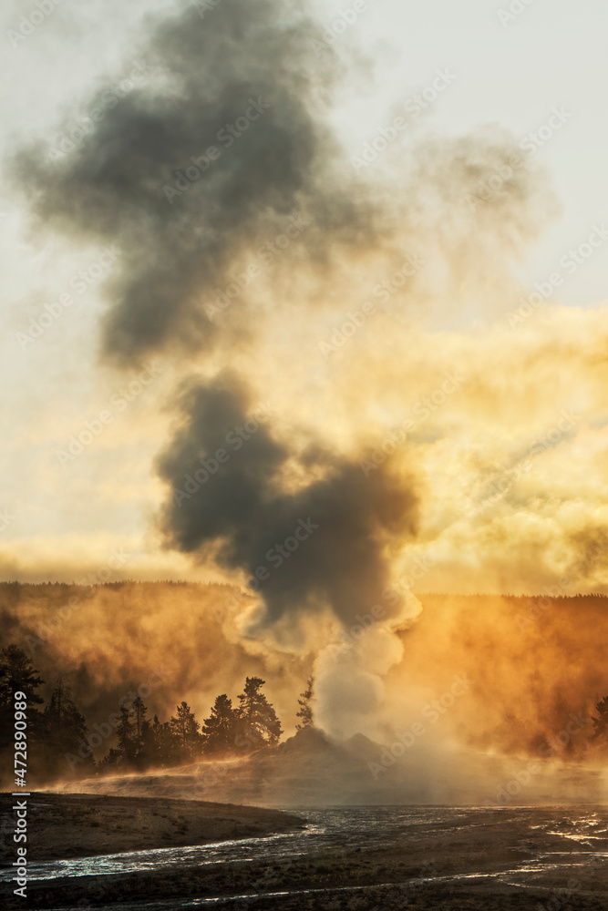 Obraz premium Old Faithful steaming in early morning, Upper Geyser Basin, Yellowstone National Park, Wyoming