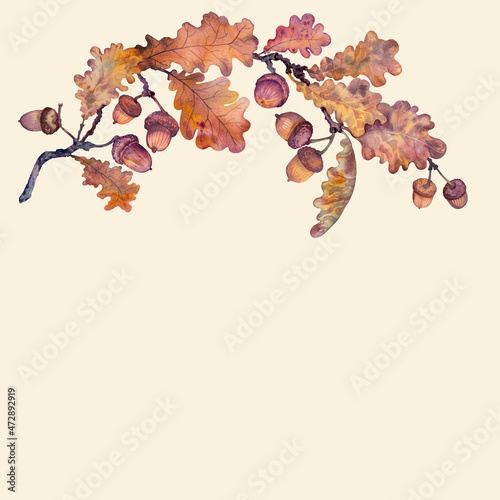 Watercolor autumn oak branch with acorns