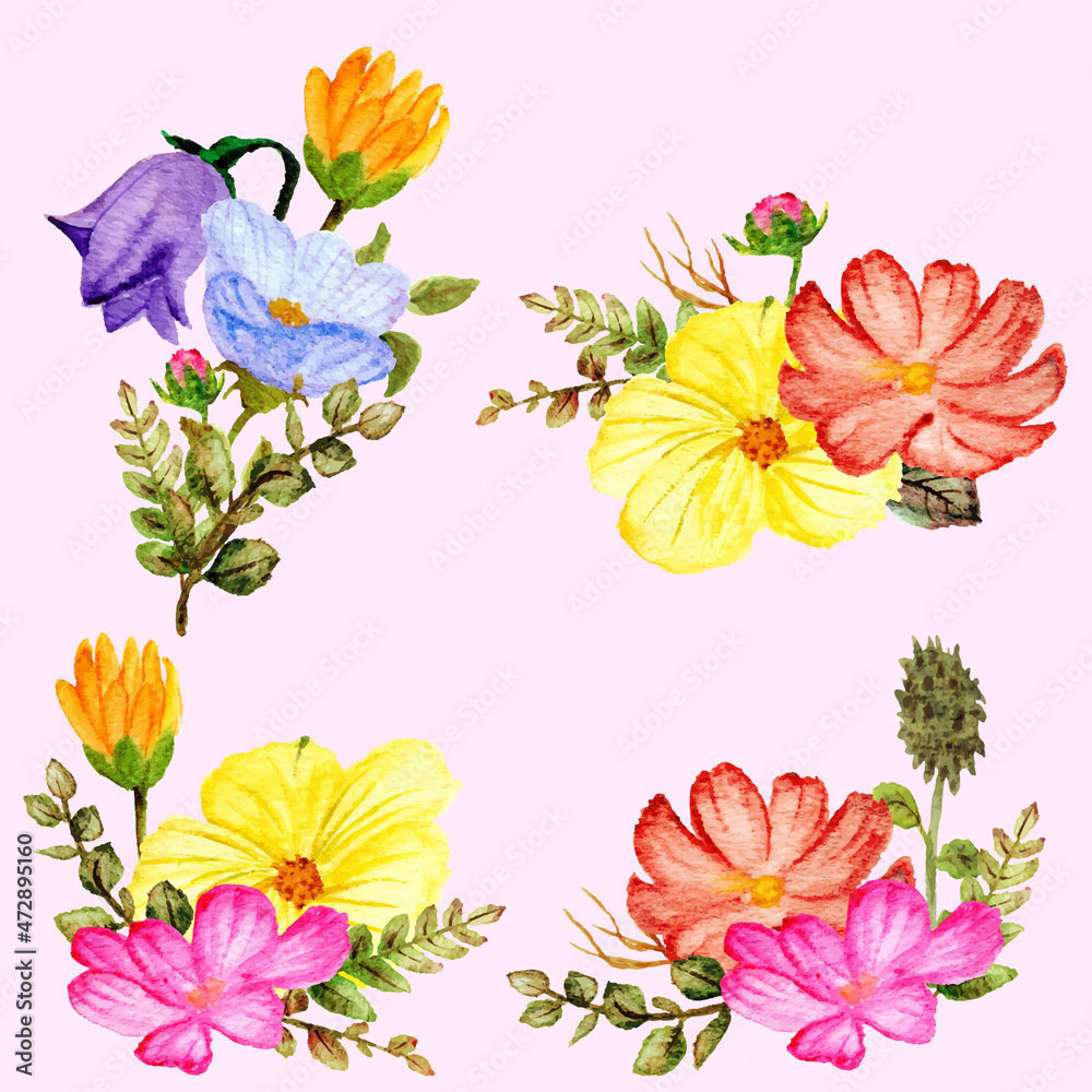 watercolor set of anemone flowers arrangement