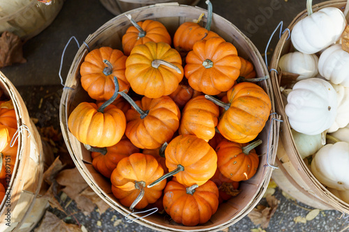 Fall Harvest, Pumpkins, Gords, Farm in the Fall, Pumpkin market (ID: 472897151)