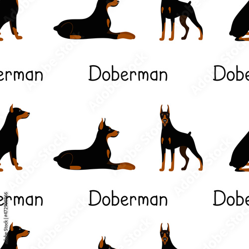 Seamless pattern from a set of poses of the Doberman Pinscher dog breed. Vector illustration of fabric design