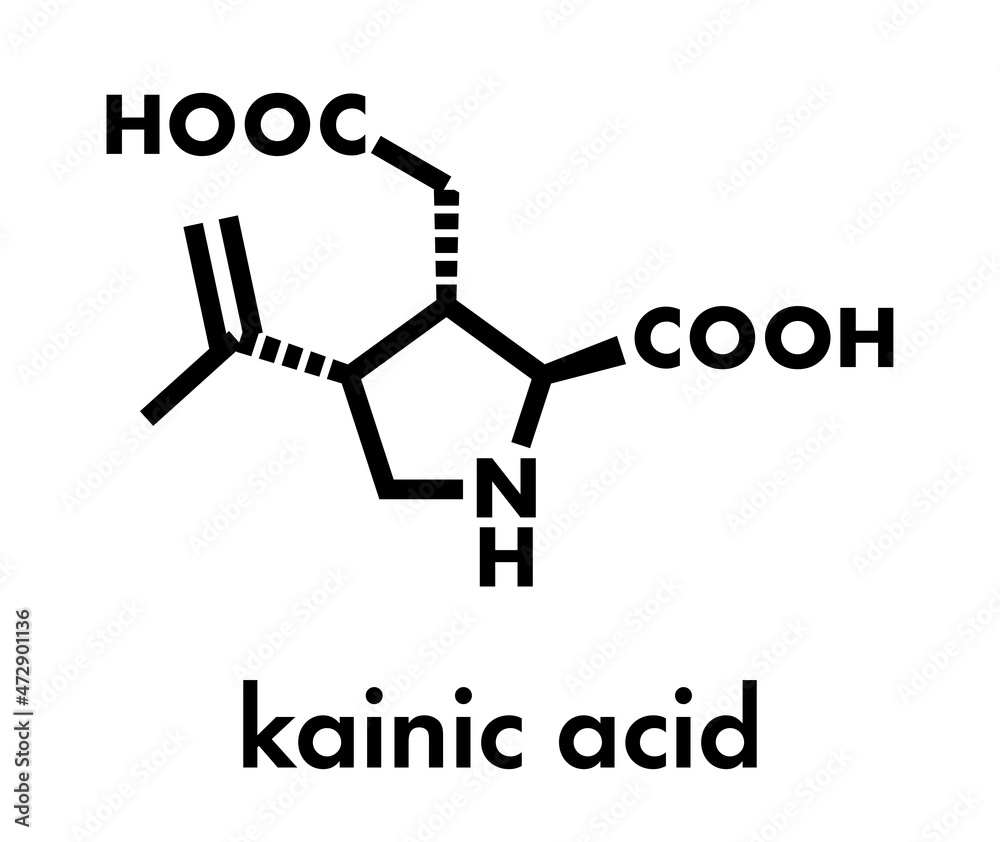 Kainic acid molecule. Direct agonist of the glutamic kainate receptors. Skeletal formula. Kainic acid molecule. Direct agonist of the glutamic kainate receptors. Skeletal formula.