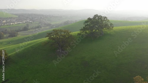 landscape with green grass and blue sky drone aerial California