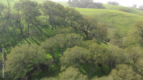 green grass and blue sky drone aerial California