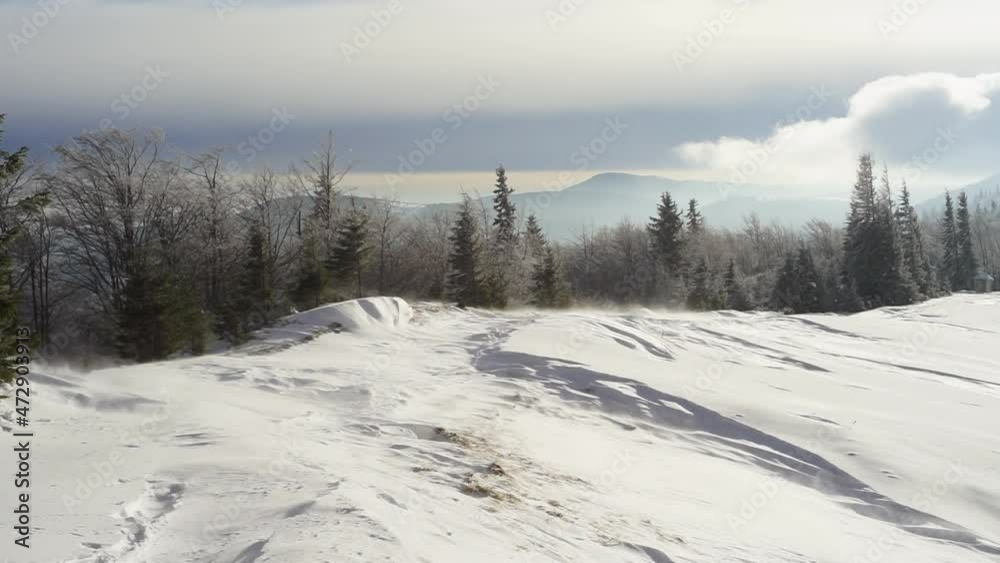Snowy frosty peak in the Carpathians with beautiful scenery at sunset mountain range in extreme frosty weather with a hurricane wind and a dangerous snowstorm on the ice Snowy frosty peak in the Carpathians with beautiful scenery at sunset mountain range in extreme frosty weather with a hurricane wind and a dangerous snowstorm on the ice