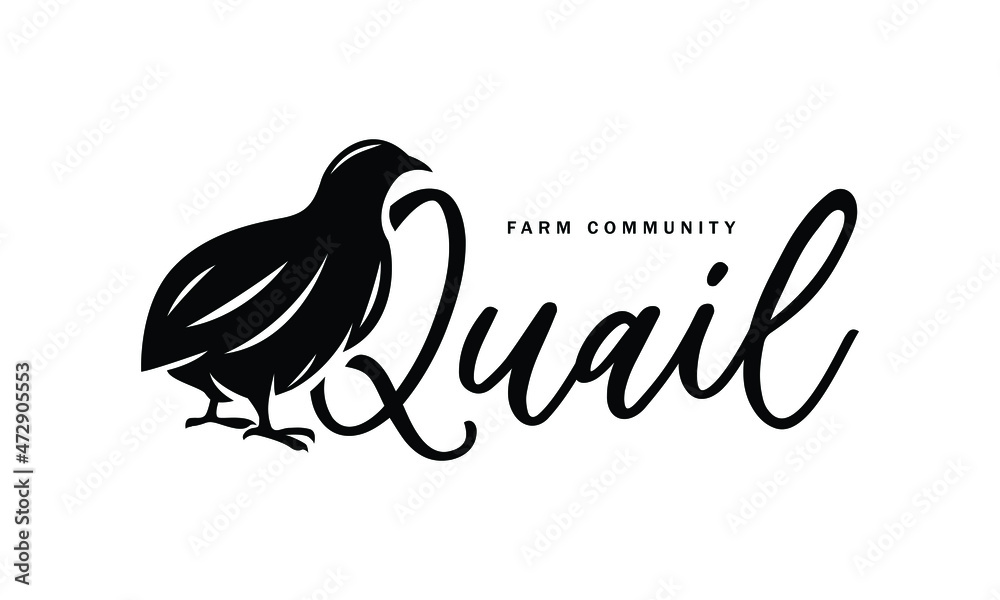 A Cute Quail vector Illustration - Creative logo, icon, symbol, badge, emblem for avian or partridge poultry - obrazy, fototapety, plakaty 